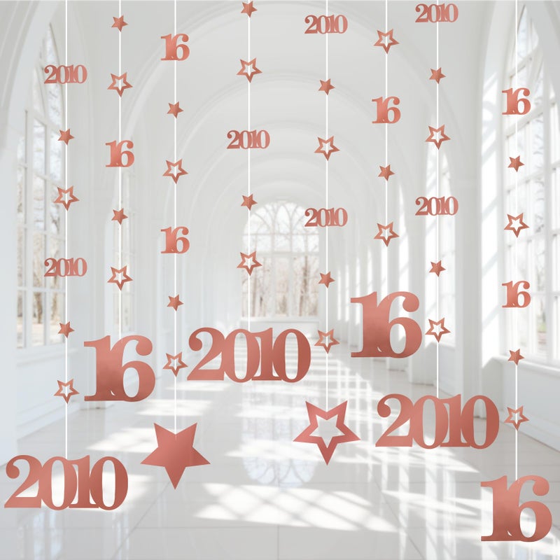 Eucutur Pink Rose Gold Sweet 16 Party Decorations for Girls, Pre-Strung Glitter Twinkle Number 2010 16 Years Old Hanging Streamer Banner Party Supplies, Pink Happy 16th Birthday Gifts Decor - Image 4