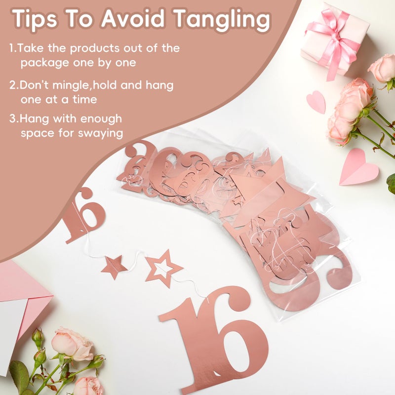 Eucutur Pink Rose Gold Sweet 16 Party Decorations for Girls, Pre-Strung Glitter Twinkle Number 2010 16 Years Old Hanging Streamer Banner Party Supplies, Pink Happy 16th Birthday Gifts Decor - Image 3