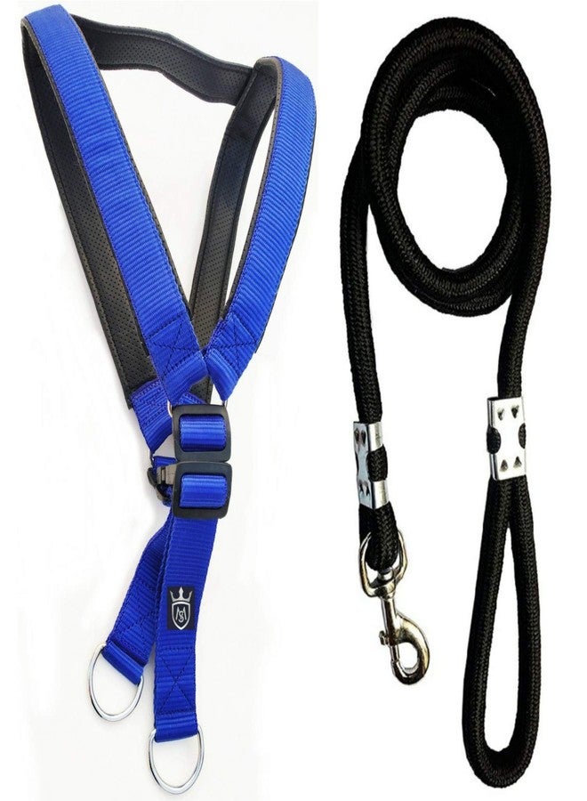 MS Petcare Nylon Padded Adjustable Dog Harness 1.25 Inch Large Blue, Black and Rope Leash 18 MM for Large Dogs (Color May Vary) - Image 1