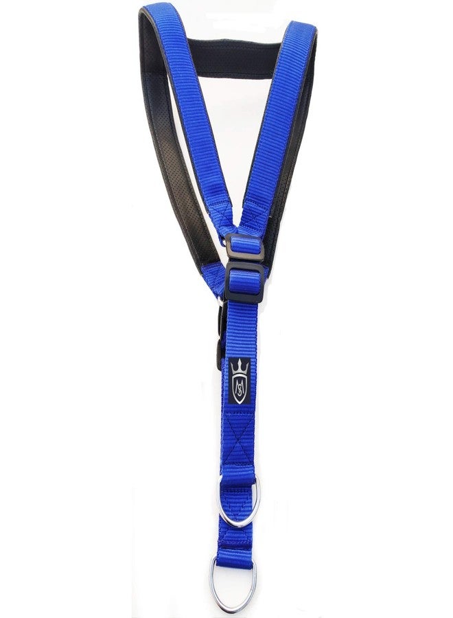 MS Petcare Nylon Padded Adjustable Dog Harness 1.25 Inch Large Blue, Black and Rope Leash 18 MM for Large Dogs (Color May Vary) - Image 3