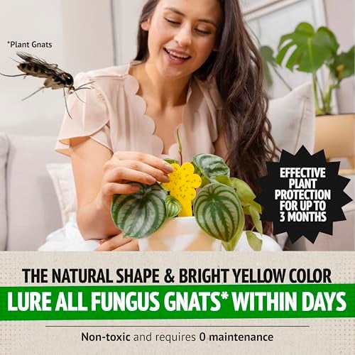 Super Ninja Fungus Gnat Traps - 30 Pack, Highly Effective Gnat Traps for House Indoor, Yellow Sticky Trap for Plants, Non-Toxic & Nature-Friendly, Up to 3 Months - Image 3