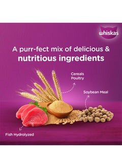 Whiskas Adult (1+ Years) Dry Cat Food, Mackerel Flavour, 3 kg, Contains 41 Essential Nutrients, Complete & Balanced Nutrition for Adult Cats - pzsku/ZEE4746732C0DF044447FZ/45/_/1738306235/9180434d-e8f0-4312-9f04-a6689fb2e56f