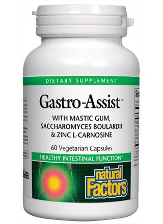 , Gastro-Assist, Help Relieve Indigestion, Bloating and Constipation, Digestive Supplement, Vegan, 60 capsules (30 servings) - pzsku/ZEE47CB49328D06538423Z/45/_/1681469950/2d115225-6961-44ed-9ed0-762ffcfe6449