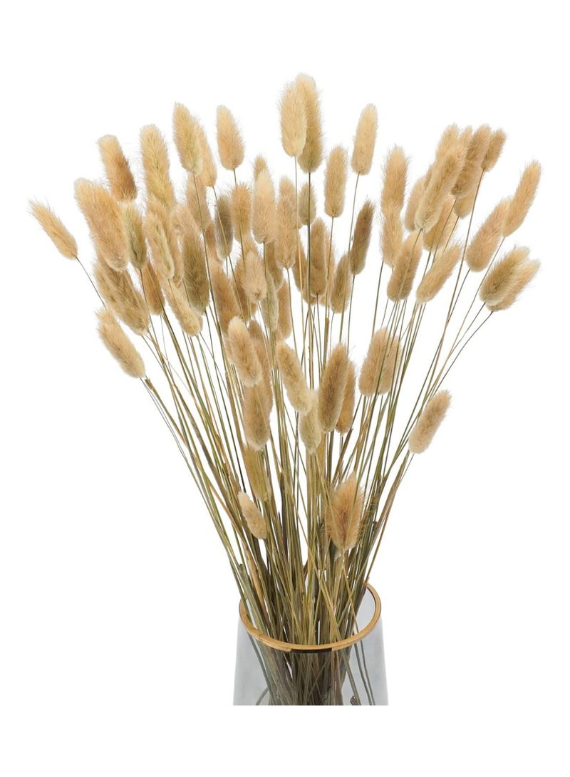 Natural Bunny Tails Dried Flowers, 70 Pcs Dried Lagurus Ovatus, Dried Pampas Grass Decor for Farmhouse Flower Arrangements Wedding Home Boho Party Decorations(Primary Colour) - Image 5