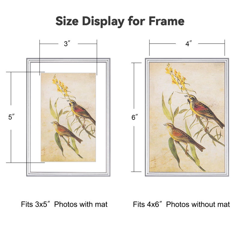 Fkvat 4x6 Picture Frame Set of 4, Matted Silver Simple Modern Brushed Thin Aluminum Metal Photo Frame Fits 3x5 with Mat or 4 x 6 without Mat Vertical and Horizontal for Tabletop and Wall Mounting - Image 2