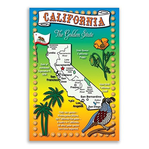 Postcard Fair U.S. State Map Postcard Set. 50 modern post card variety pack. Illustrated postcards with maps of all fifty states of the United States of America. Made in USA. - Image 5