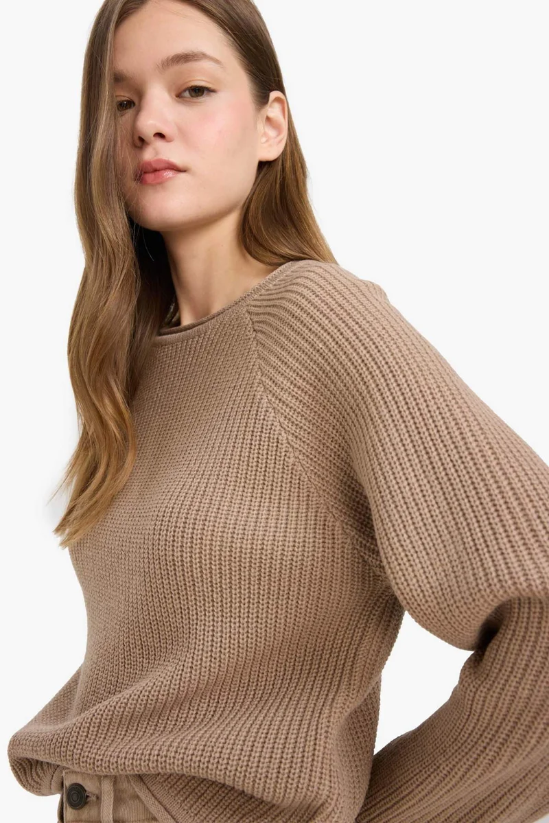ديفاكتو Regular Fit Crew Neck Basic Dress Pullover