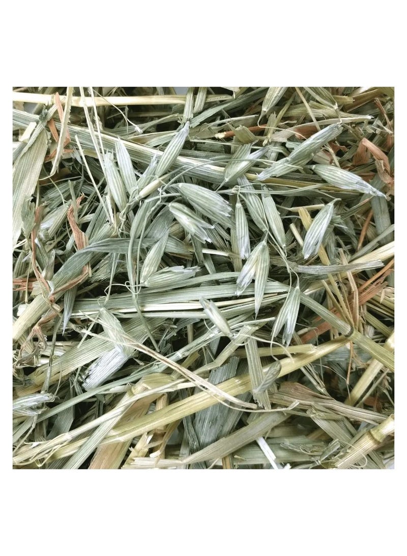 Oxbow Oat Hay for Small Pets 425g - Image 3