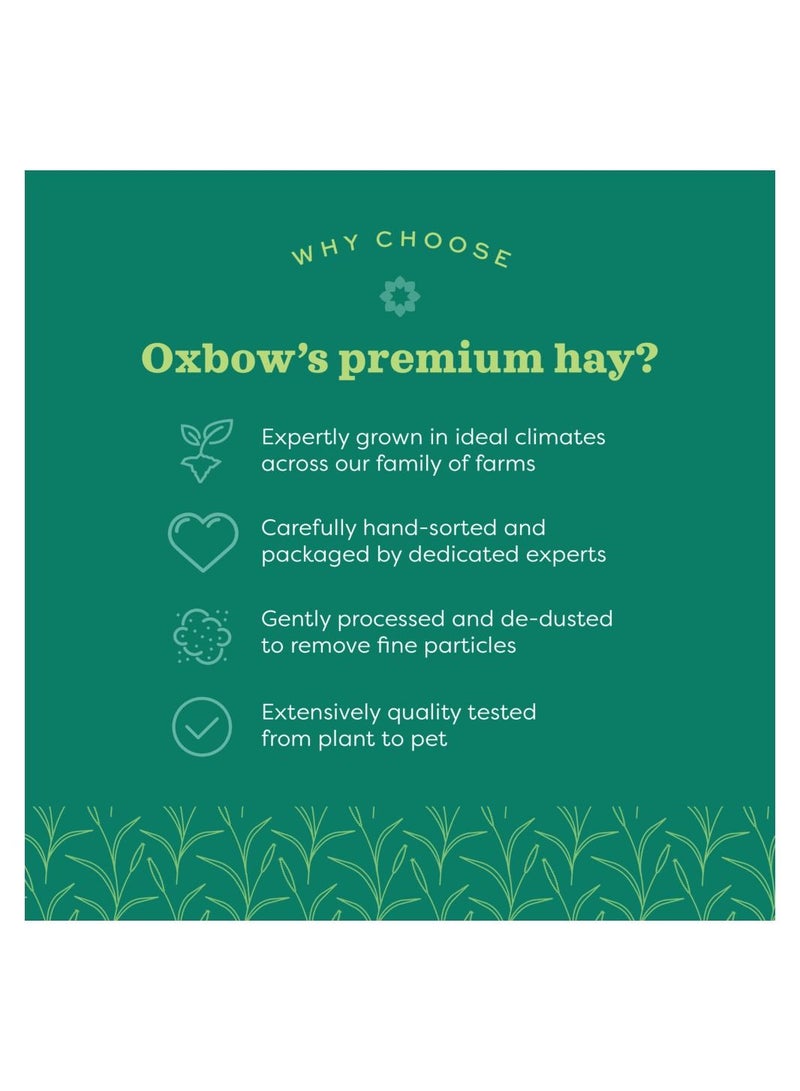 Oxbow Oat Hay for Small Pets 425g - Image 2