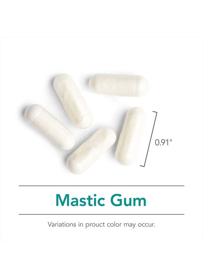 Nutricology صمغ الماستيك - ماتيها خيوس الأصلية - صحة الجهاز الهضمي، الأيض - 120 كبسولة نباتية - Image 4