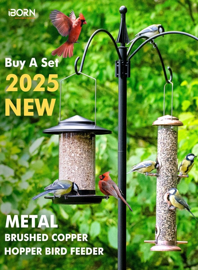 iBorn Metal Bird Feeder for Outside Hanging,Wild Bird Feeders for Cardinal,18cm Large Roof&Tray Black 6 Port (Seed is not Included) - Image 4
