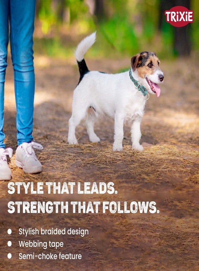 تريكسي طوق تريكسي كافو شبه الخانق للكلاب | طوق حبل قوي ومتين مع سلسلة شبه خانقة مطلية بالكروم | أداة تدريب آمنة لمنع الشد | مقاس مريح (بترولي/أخضر فاتح، متوسط) - Image 3