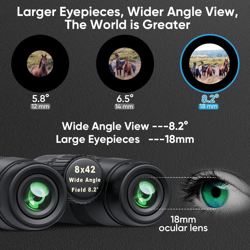 Timorn Binoculars for Adults Bird Watching - Timorn HD 8x42 Birding Binocular for Adult High Powered with Phone Adapter Tripod - Waterproof Lightweight Binocular for Travel, Sports, Hiking - Image 4