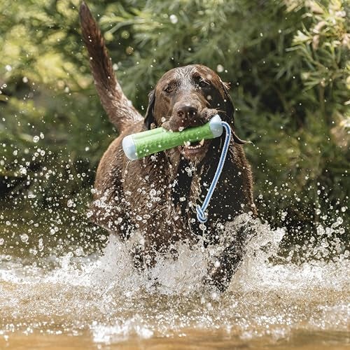 Chuckit! Amphibious Bumper Floating Fetch Dog Toy, Small 8.5" (Assorted Colors) - Image 5