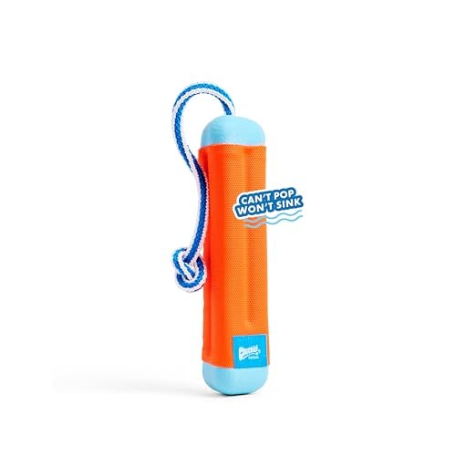 Chuckit! Amphibious Bumper Floating Fetch Dog Toy, Small 8.5" (Assorted Colors) - Image 2