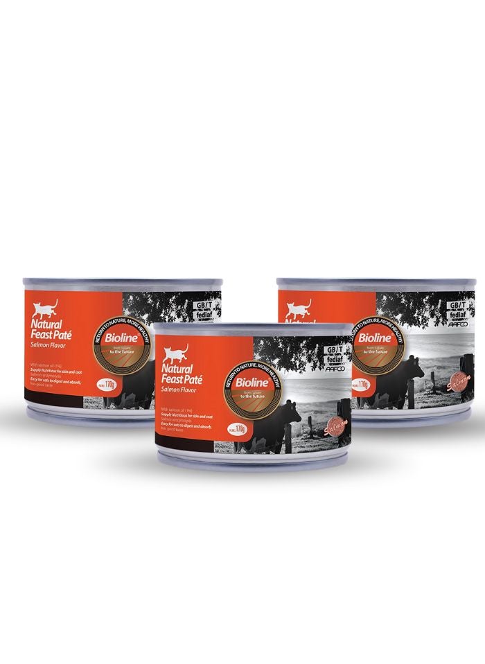 Bioline Cat Food Pate Salmon Flavor 170g (Pack of 3) - Image 1
