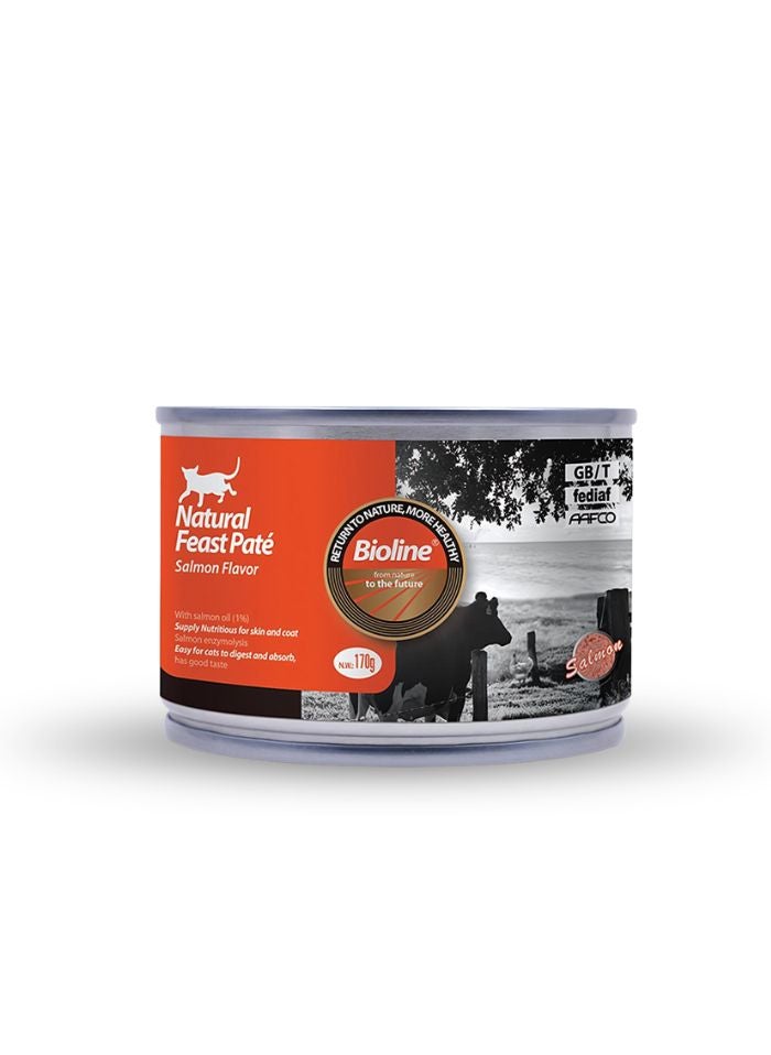 Bioline Cat Food Pate Salmon Flavor 170g (Pack of 3) - Image 2