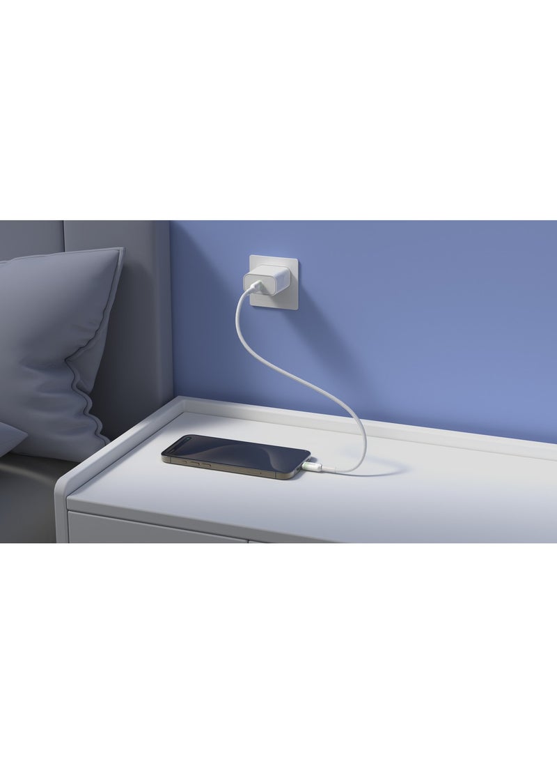 PVC housing (USB-C) TO (USB-C) Gradient Clear Cable - 60W - 1.2M - White - DC23A
