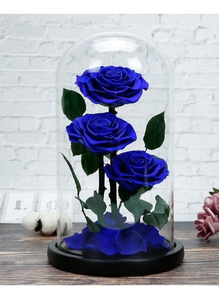 Vitacelli - Large-size Forever Blue Rose, Real Eternal Rose in Glass Dome Preserved Flower with Luxury Gift Box - Gift for Valentine's Day Mother's Day Wedding Anniversary Birthday (Three Roses) - Image 1