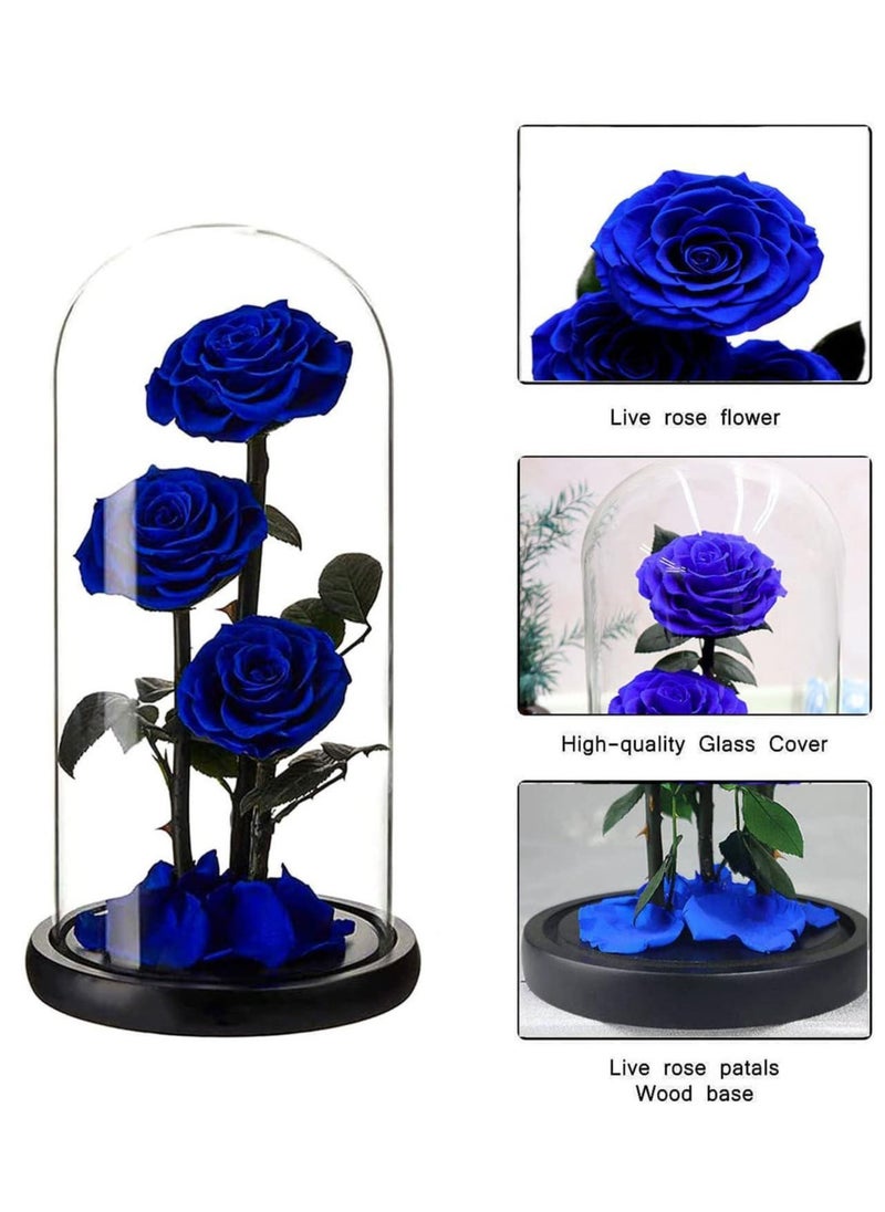 Vitacelli - Large-size Forever Blue Rose, Real Eternal Rose in Glass Dome Preserved Flower with Luxury Gift Box - Gift for Valentine's Day Mother's Day Wedding Anniversary Birthday (Three Roses) - Image 1