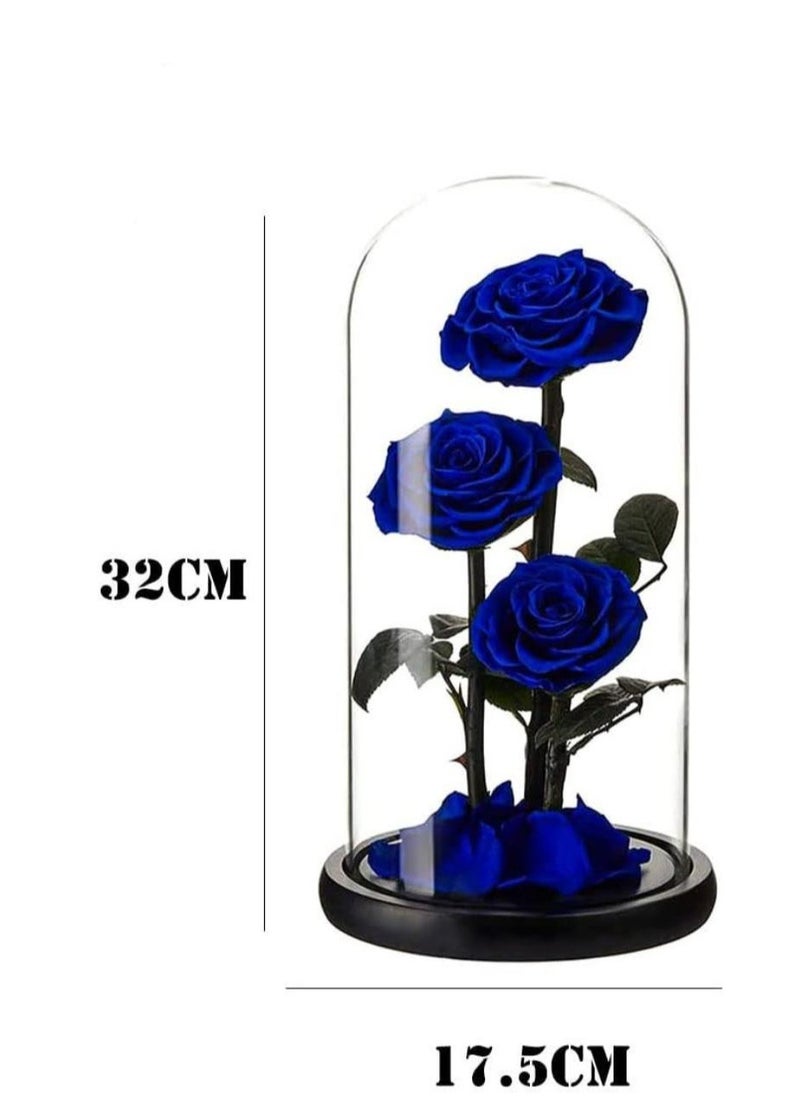 Vitacelli - Large-size Forever Blue Rose, Real Eternal Rose in Glass Dome Preserved Flower with Luxury Gift Box - Gift for Valentine's Day Mother's Day Wedding Anniversary Birthday (Three Roses) - Image 1