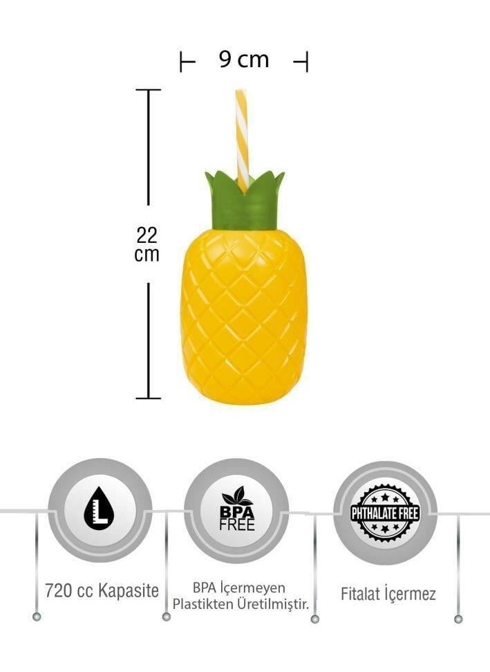 HEREVIN - 720 cc Pineapple Water Bottle with Straw - Image 1