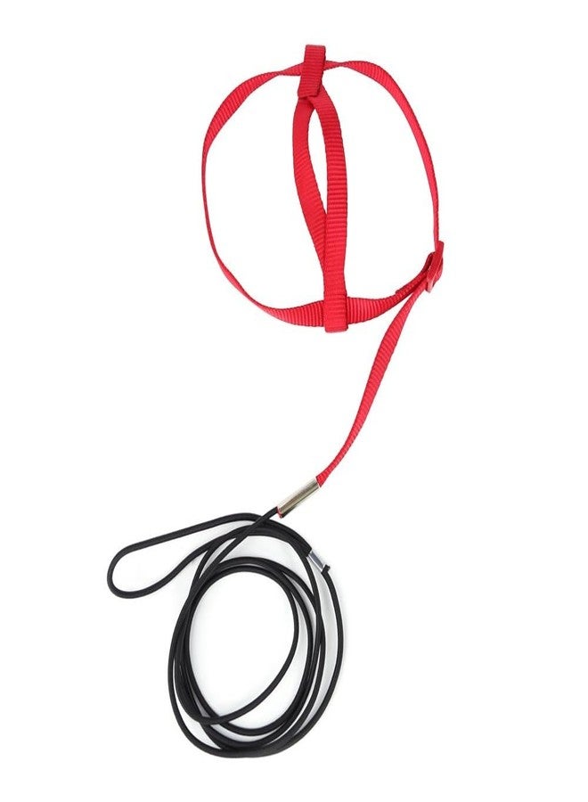 MiOYOOW Parrot Harness Leash, Anti Bite Bird Training Leash Adjustable Parrot Flying Rope for Parrot Budgerigar Lovebird Cockatiel - Image 1