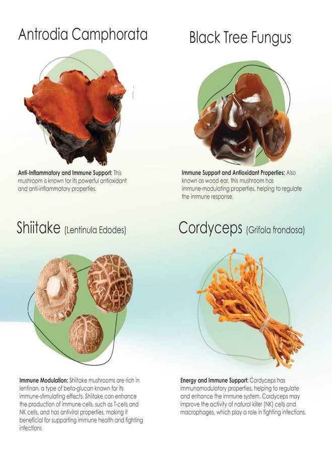 Pet Health Solutions Mycogen for Dogs - Vitamins with 8 Types of Mushrooms - Support Immune System - 60 Soft Chews - Image 5