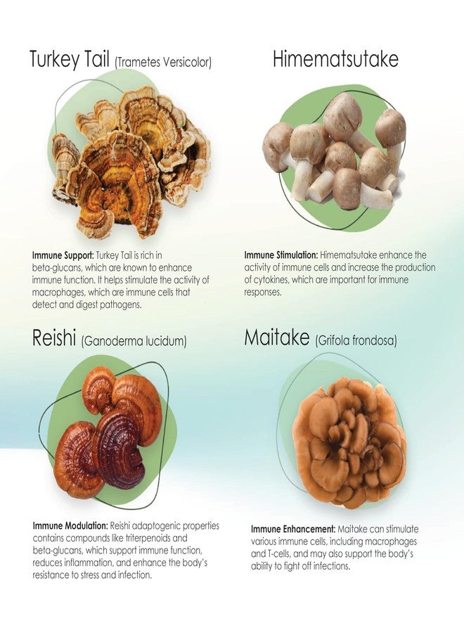 Pet Health Solutions Mycogen for Dogs - Vitamins with 8 Types of Mushrooms - Support Immune System - 60 Soft Chews - Image 4