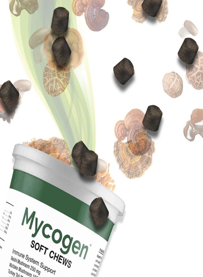 Pet Health Solutions Mycogen for Dogs - Vitamins with 8 Types of Mushrooms - Support Immune System - 60 Soft Chews - Image 2