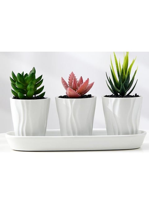3 Pcs Geometric Succulent Planter Set with Tray – White Ceramic Round Pots for Cactus & Succulents