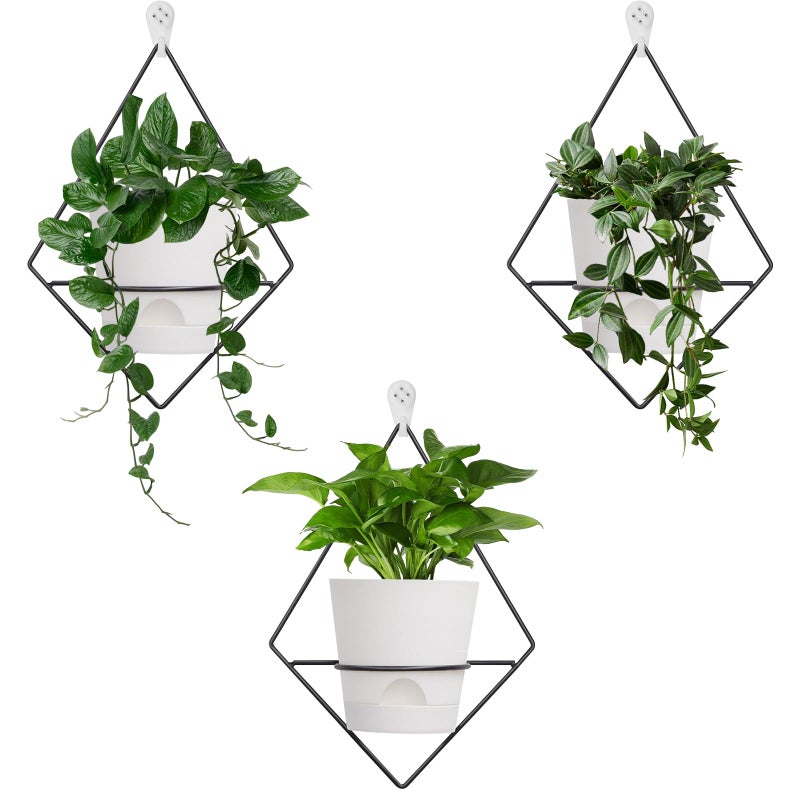 Koalaime 3 Sets Wall Planters for Indoor Plants Geometric Hanging Planters for Indoor Plants  SelfWatering Flower Pots with Black Metal Holder Mounted Succulent Planter 5 Black Plant Pot