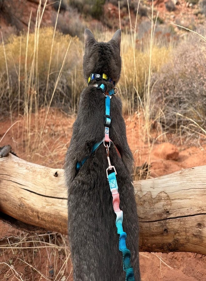 Your Cat Backpack Travel Cat Harness and Bungee Leash Set - 2 in 1 Adjustable Escape Proof Cat Harness & Leash for Small, Medium, Large Cats, Kitten - H-Style for Outdoor Walking (Watercolors) - Image 5