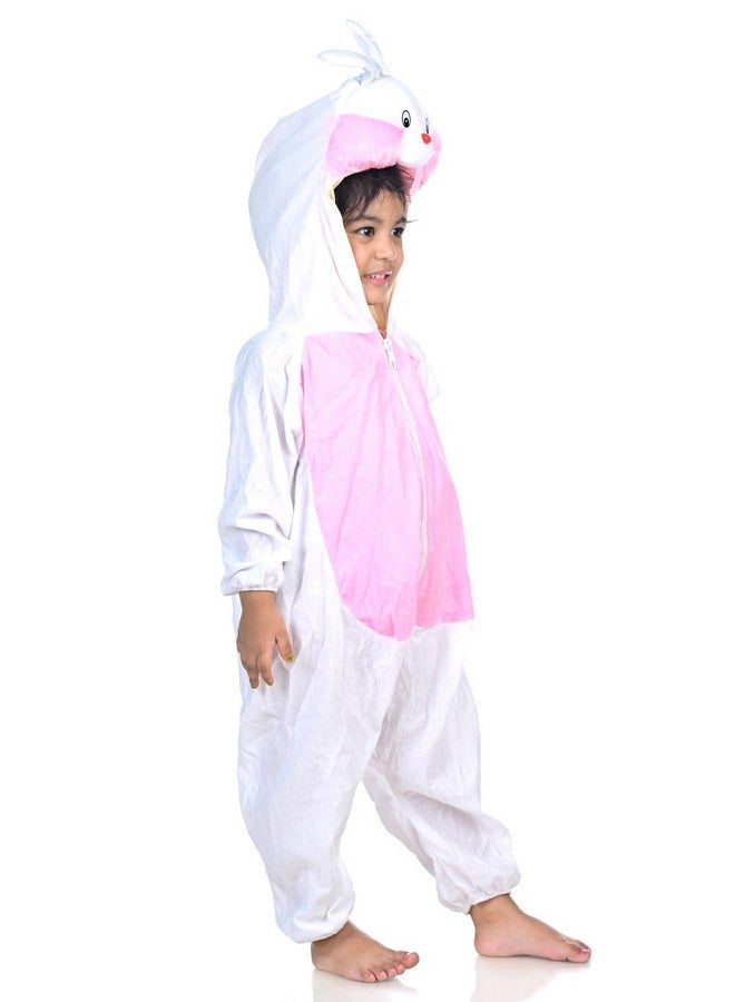 BookMyCostume Rabbit Animal Kids Fancy Dress Costume 7-8 years - Image 4