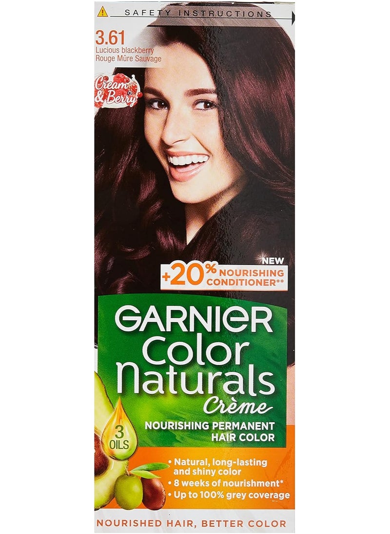 Garnier Garnier Color Naturals Permanent Creme Hair Color - 3.61 Luscious Blackberry 112 ML  - Image 1