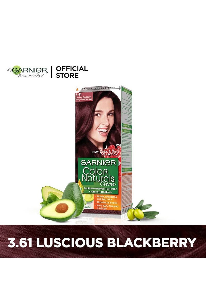 Garnier Garnier Color Naturals Permanent Creme Hair Color - 3.61 Luscious Blackberry 112 ML  - Image 2