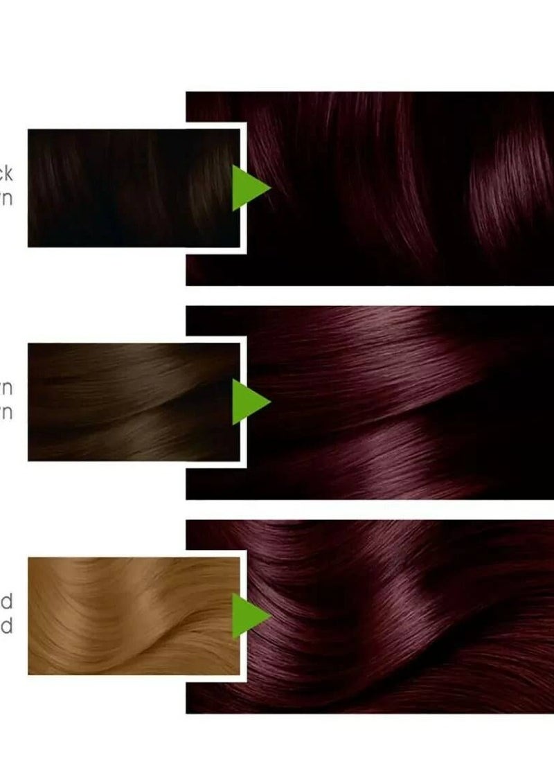 Garnier Garnier Color Naturals Permanent Creme Hair Color - 3.61 Luscious Blackberry 112 ML  - Image 3