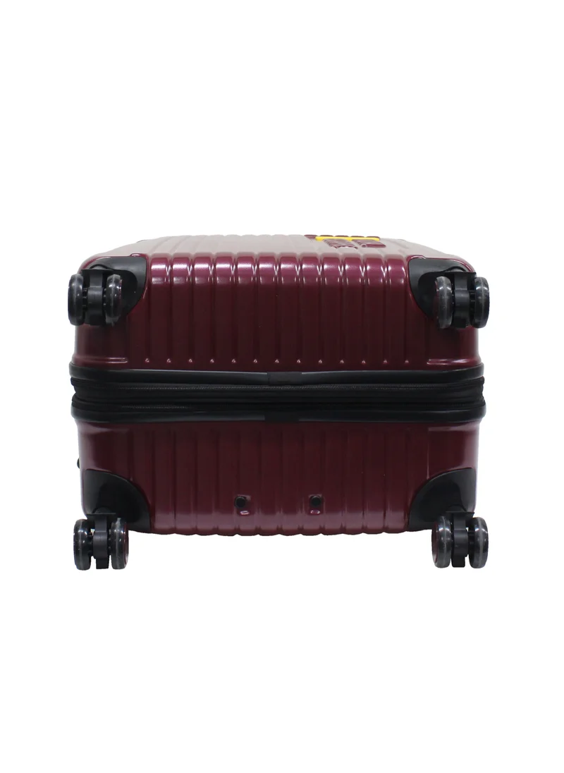 ناشيونال چيوغرافيك National Geographic Canyon ABS/PC Hardshell Large Check-In Suitcase Burgundy, Durable Lightweight Expandable Anti-theft Zipper TSA Lock Travel Luggage, 4 Double Wheel Trolley Bag (28 Inch)