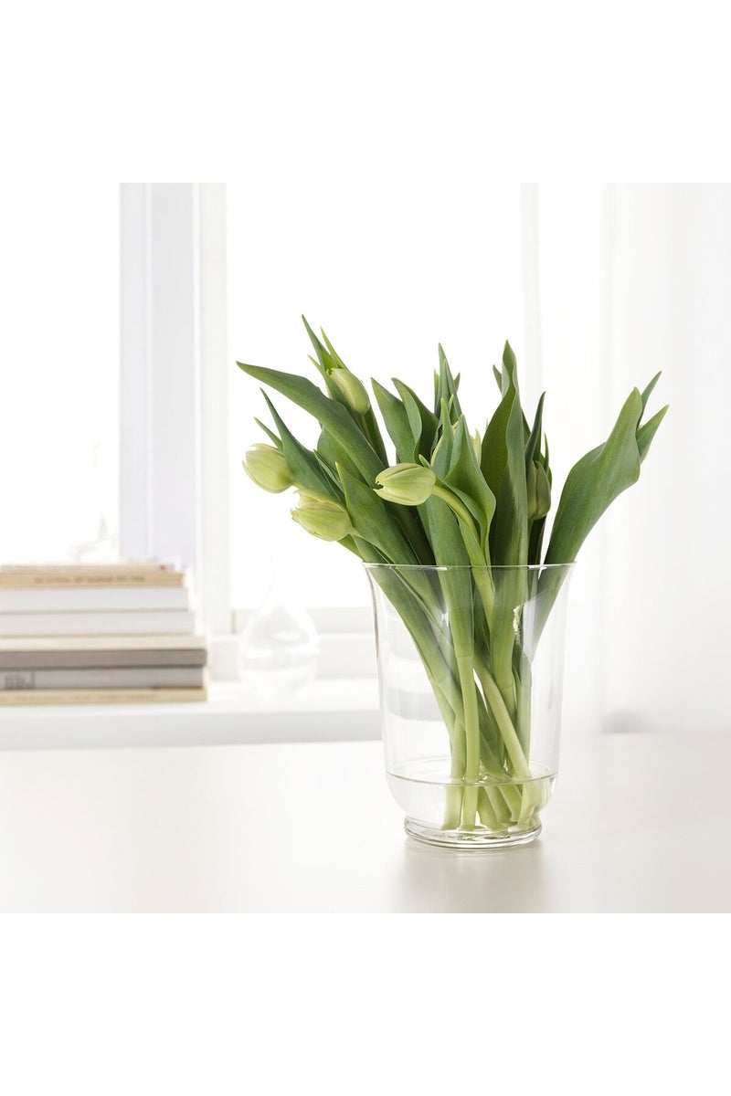 Pomp فازة/فانوس بومب، زجاج شفاف، 18 سم - Image 3