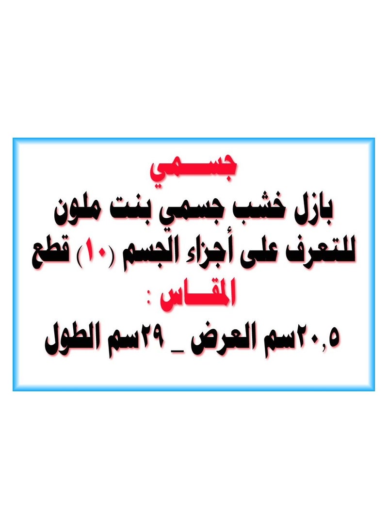 بازلز بازل خشبي اجزاء الجسم البنت ملون 10 قطع - Image 3