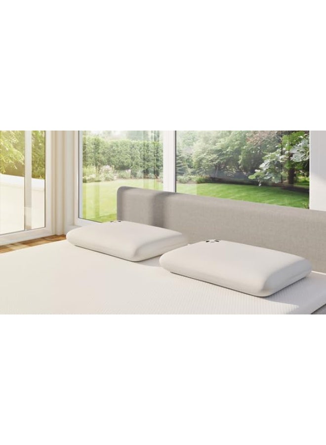 باندا وسادة فاخرة من إسفنج الذاكرة من الخيزران، 60 × 40 × 12 سم - مضادة للحساسية، عالية التهوية، تحكم في المناخ، صديقة للبيئة - Image 4