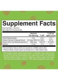 MaryRuth Organics Vitamin D3 And Vitamin B12 Gummies | Sugar Free | 2 Month Supply | Made W/Organic Ingredients Non-Gmo Vegan Gluten Free For Men, Women & Kids 1000 Iu D3 Vitamins & 250 Mcg B12 Vitamins | Raspberry  - Image 5