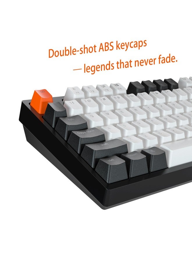 Keychron C1 Wired Mechanical Keyboard TKL, RGB Backlit with Double-Shot ABS Keycaps, 87 Keys Hot-Swappable Pre-lubed Tactile Switch Compatible with Mac Windows - Image 4