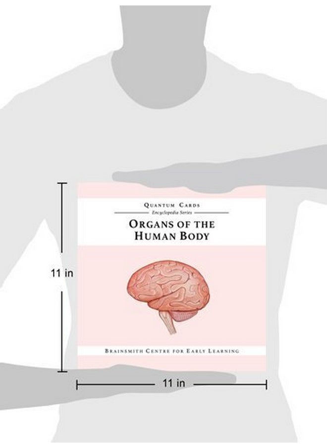 BRAINSMITH Brainsmith Artboard Human Body - Educational Flashcard Set, Multicolour, 8 Months To 8 Years, Set Of 10, Kid, Multicolor  - Image 5