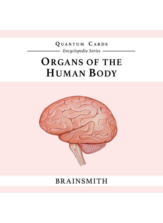 BRAINSMITH Brainsmith Artboard Human Body - Educational Flashcard Set, Multicolour, 8 Months To 8 Years, Set Of 10, Kid, Multicolor  - Image 1
