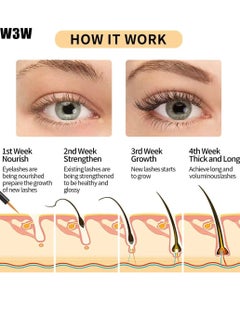 W3W Eyelash Growth Serum for Longer Thicker Lashes and Brows Natural Plant Extracts Hypoallergenic Formula and Effective Stimulate Lash Growth Eyelash Enhancement Serum 4ml  - Image 2