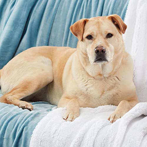 BSB HOME Baby Boy's and Baby Girl's Luxury Flannel Sherpa Heavy Winter Blanket/Wrapping Sheet for Babies/Kids (Sky Blue, 0-5 Years) - Image 2