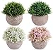 Lemonfilter Lemonfilter Artificial Potted Plants, 4PCS Mini Fake Flower and Grass in Round Pot, Small Faux Plastic Greenery for  - Image 2