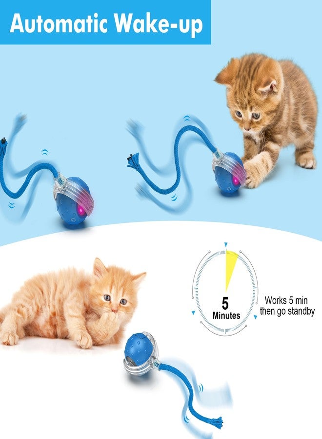 FLERDMAU Interactive Cat Ball Toy for Indoor Cats – Fast Rolling on Carpets, Motion Activated with Chirping Sounds, Enrichment Play for Active & Bored Cats - Image 3