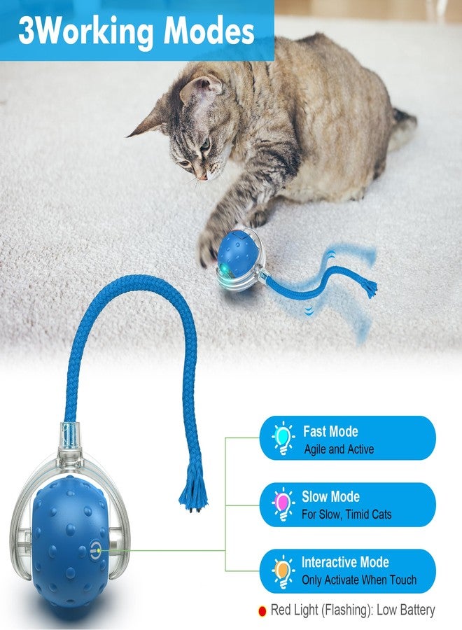 FLERDMAU Interactive Cat Ball Toy for Indoor Cats – Fast Rolling on Carpets, Motion Activated with Chirping Sounds, Enrichment Play for Active & Bored Cats - Image 2
